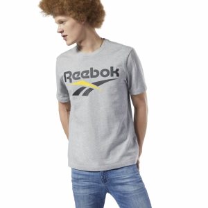 Koszulki Męskie Reebok Classic Vector Szare/Czarne PL 58XKQIY